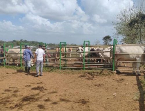 Jornada educativa en Zanguenga