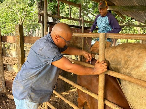AVANZA SANIDAD PANAMÁ OESTE 2