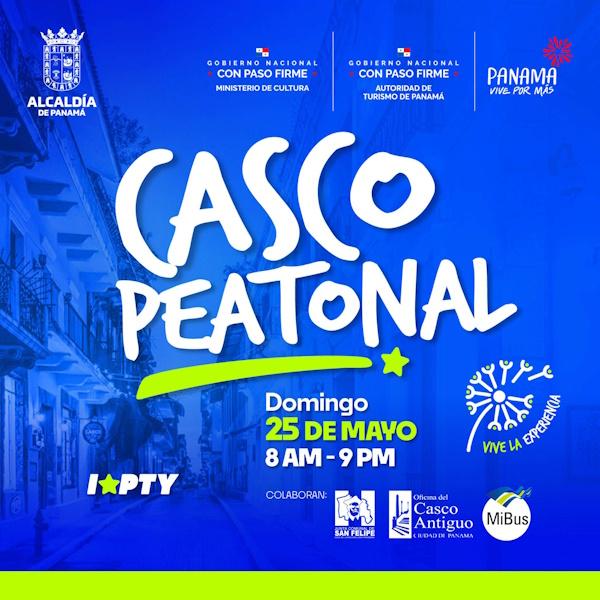 CASCO PEATONAL 2