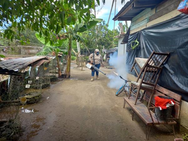 CHIRIQUÍ MOSQUITOS 3