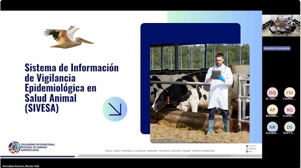 MIDA VIGILANCIA SANITARIA 4