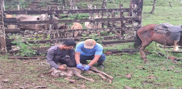 MIDA VIGILANCIA SANITARIA 5