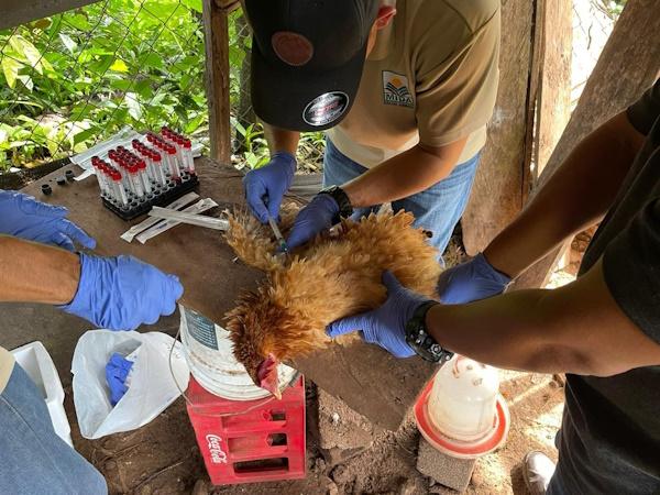 MIDA VIGILANCIA SANITARIA 7