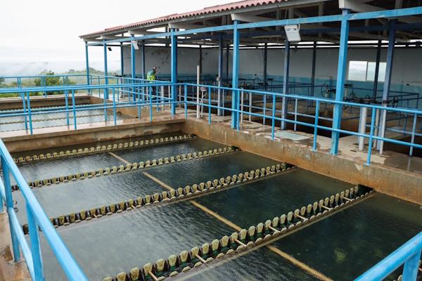 ESTABILIZACIÓN RÍO LA VILLA 4