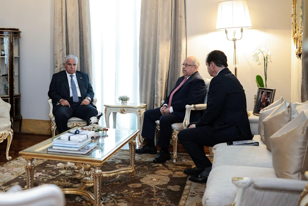 MULINO Y MARTÍNEZ 2