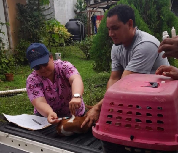 Equipo de Salud del MINSA, desarrolla intensiva campaña contra la rabia en Colón