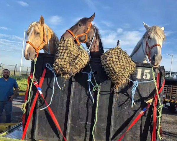 MIDA intensifica sus operativos de cuarentena para blindar el sector agropecuario de Panamá