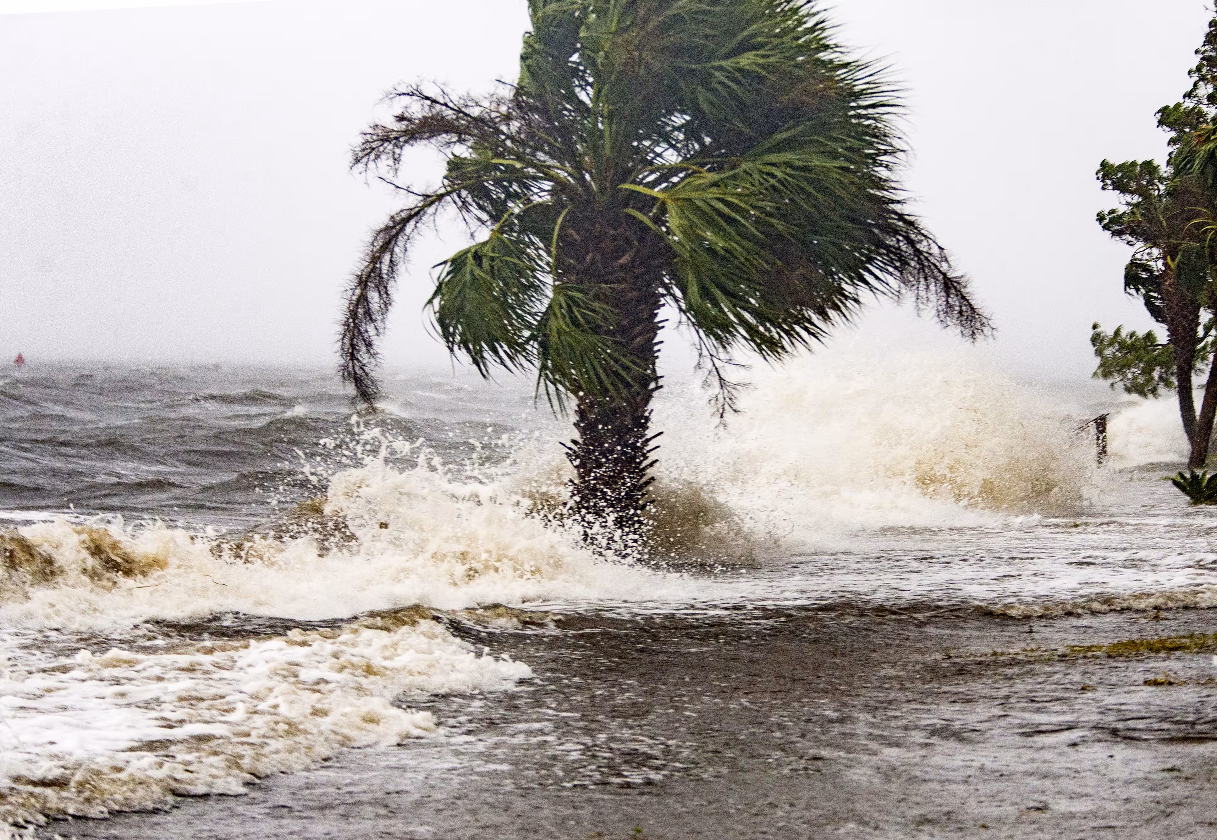 Hurricane Michael Slams Into Florida’s Panhandle Region