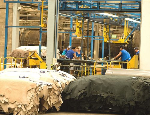 La crisis amazónica aumenta la presión sobre el sector brasileño del cuero