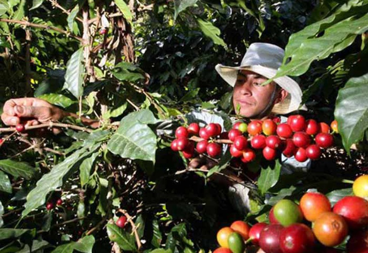 d484e8260d3711447277c5a506dc4ee8