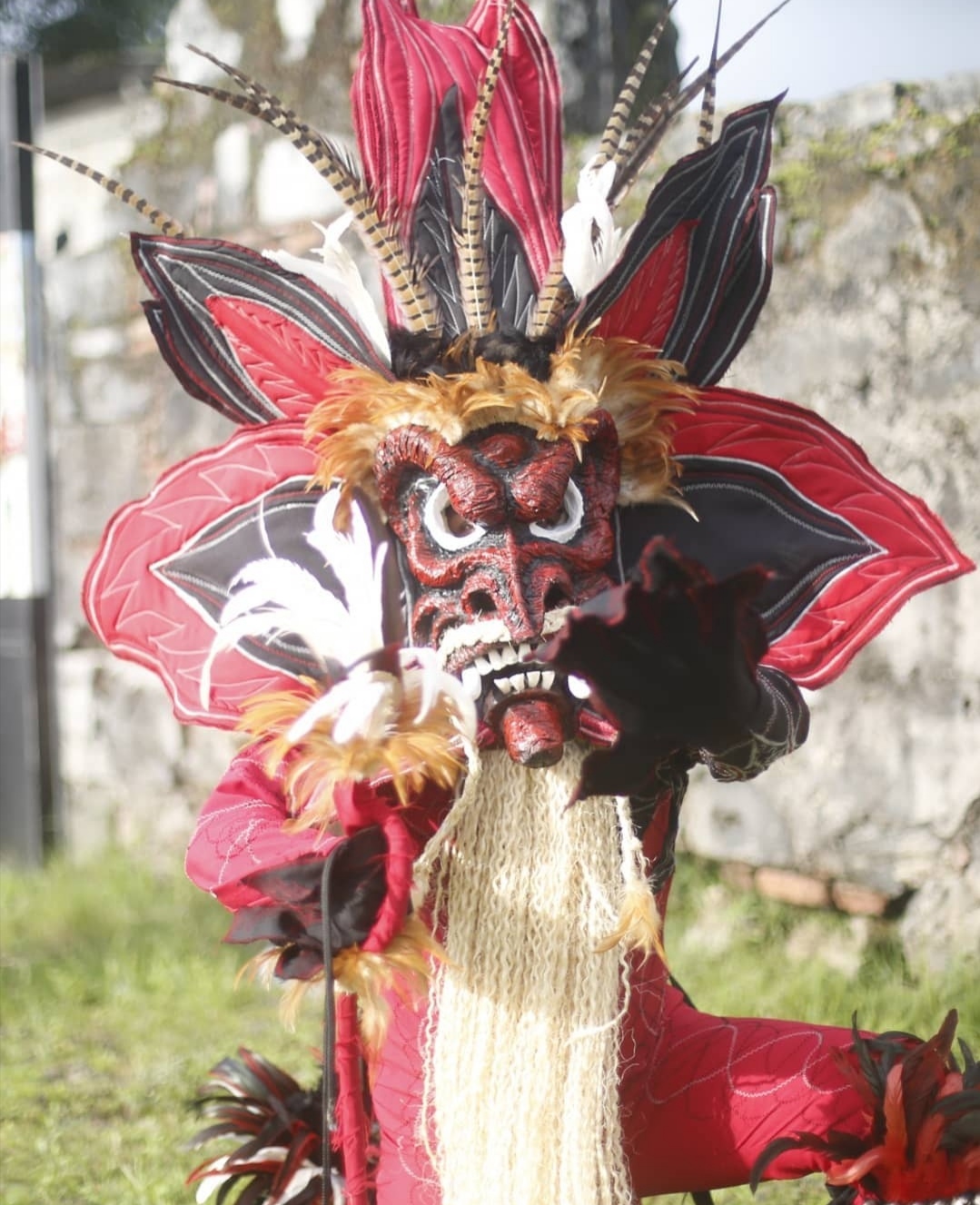 Screenshot_20210531_090424