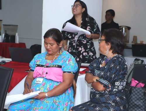 MEDUCA realizó jornada de trabajo con directores de áreas indígenas para fortalecer la propuesta de sistematizar el plan de Educación Intercultural Bilingüe