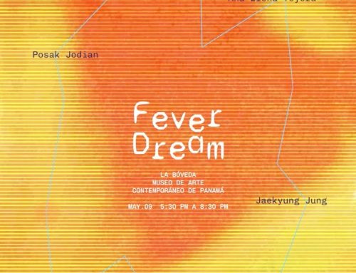 MAC Panamá presenta: Fever Dream en La Bóveda del 9 Mayo 2024 – 7 Julio 2024