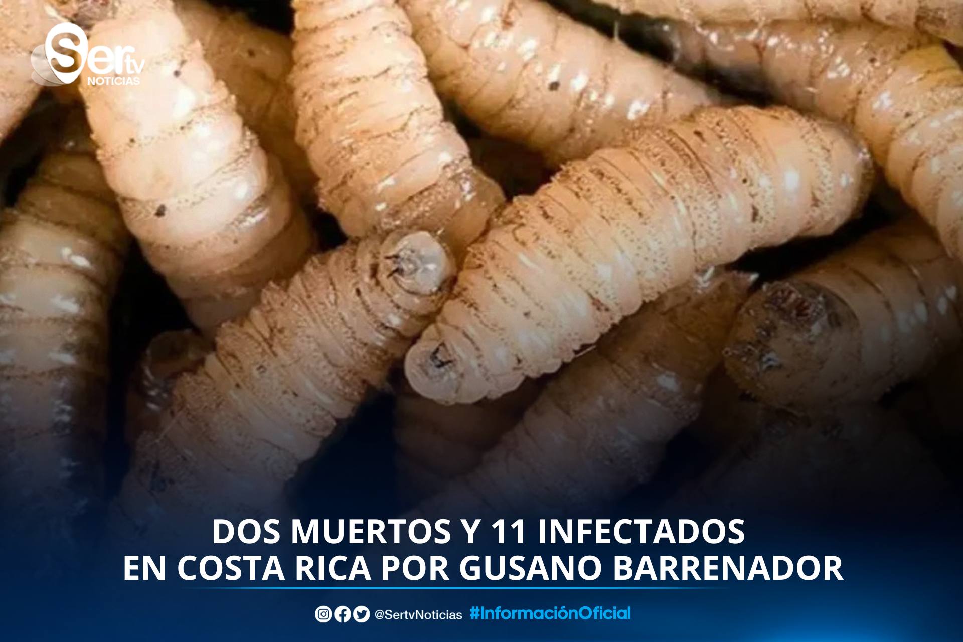 Muere segundo paciente en Costa Rica por infección ocasionada por gusano barrenador