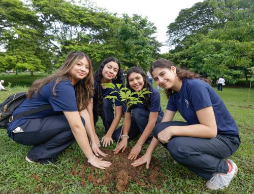 Se Realiza Jornada de Siembra de 500 Guayacanes en el Parque Omar