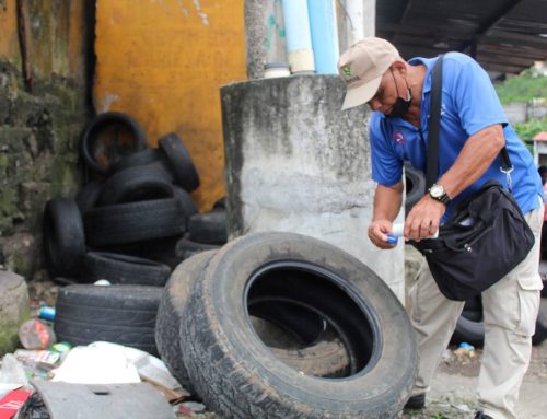 Incremento de casos de dengue en Panamá: El Ministerio de Salud llama a la acción colectiva