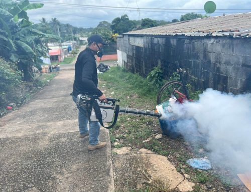 Operativo interinstitucional contra el dengue en Veracruz: limpieza y concienciación comunitaria