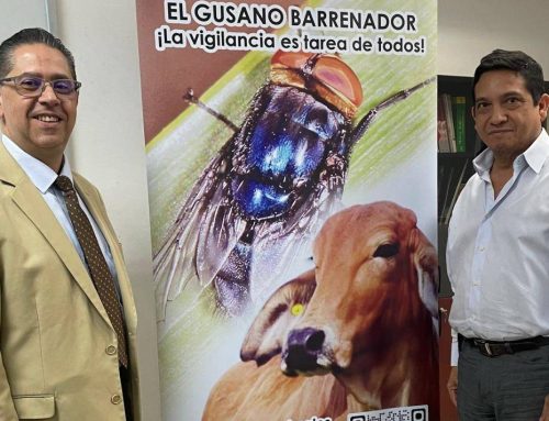 Entrega de material divulgativo para la prevención del gusano barrenador en Panamá