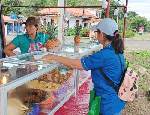 Operativo de inspección sanitaria en Guararé durante el Festival Nacional de la Mejorana