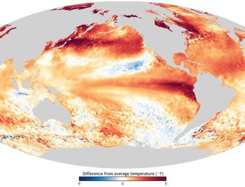 El fenómeno de El Niño tiene raíces de 250 millones de años, según un nuevo estudio