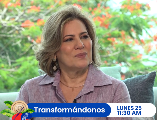 Violencia doméstica en “Transformándonos”