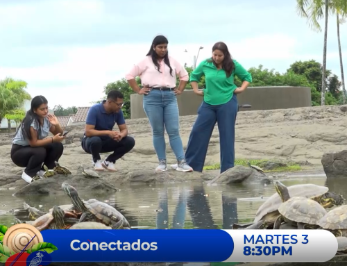 Jóvenes al rescate de los recursos hídricos en “Conectados”