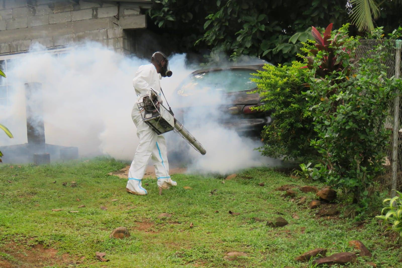 Informe Epidemiológico Semanal: Aumento de casos de dengue en Panamá