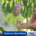 Legado gastronómico en Panamá por Sertv