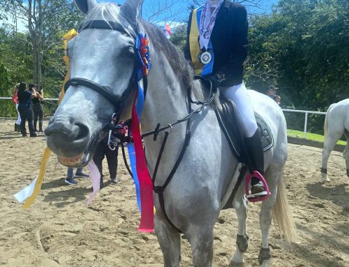 SOFÍA RUIZ CONQUISTA EL CAMPEONATO DEL CATEGORÍA IMFANTIL B EN EL NACIONAL DE EQUITACIÓN