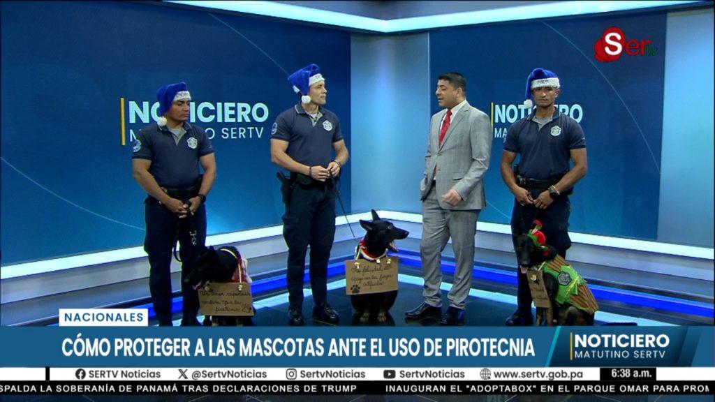 La Policía Nacional Lanza Campaña de Sensibilización sobre el Efecto de la Pirotecnia en las Mascotas