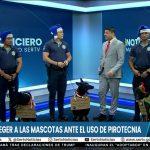 La Policía Nacional Lanza Campaña de Sensibilización sobre el Efecto de la Pirotecnia en las Mascotas