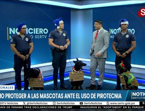 La Policía Nacional Lanza Campaña de Sensibilización sobre el Efecto de la Pirotecnia en las Mascotas