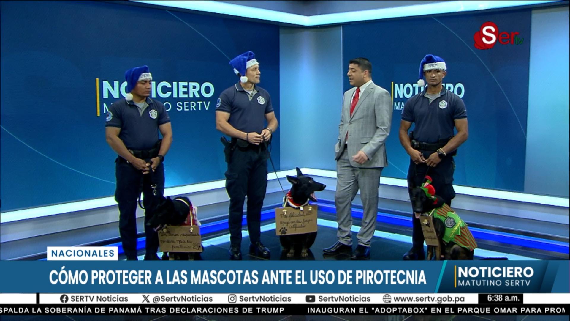 La Policía Nacional Lanza Campaña de Sensibilización sobre el Efecto de la Pirotecnia en las Mascotas