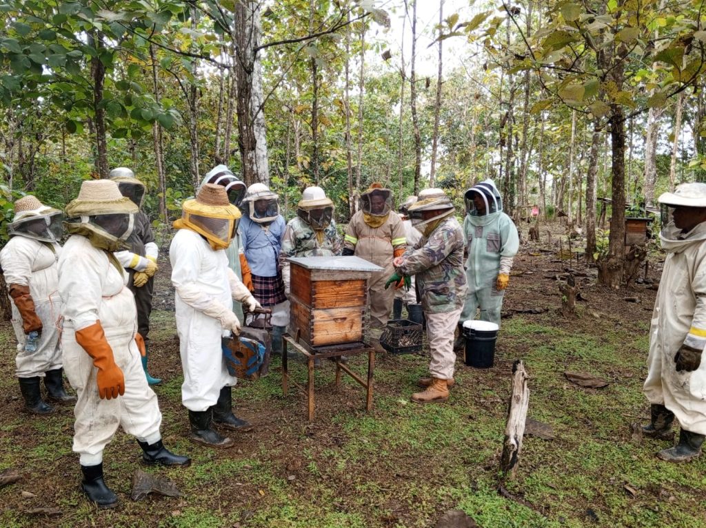 Capacitación en Apicultura Impulsada por el MIDA en Colón