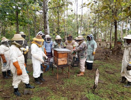 Capacitación en Apicultura Impulsada por el MIDA en Colón