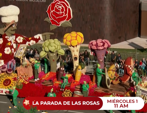 “Parada de las Rosas 2025” en directo por Sertv