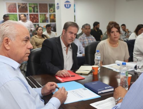 Cadena Agroalimentaria aprueba introducción de papa por desabastecimiento