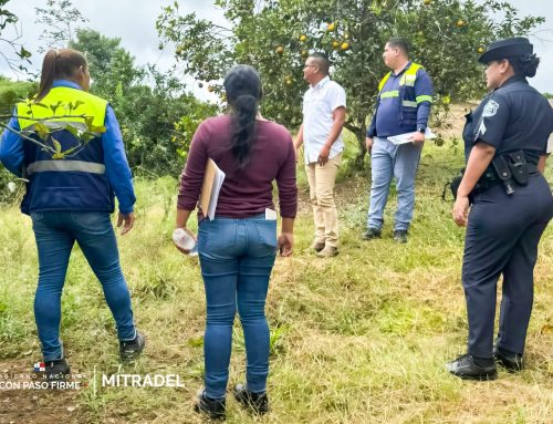 Operativo del Mitradel verifica protección de menores en fincas de cítricos en Penonomé