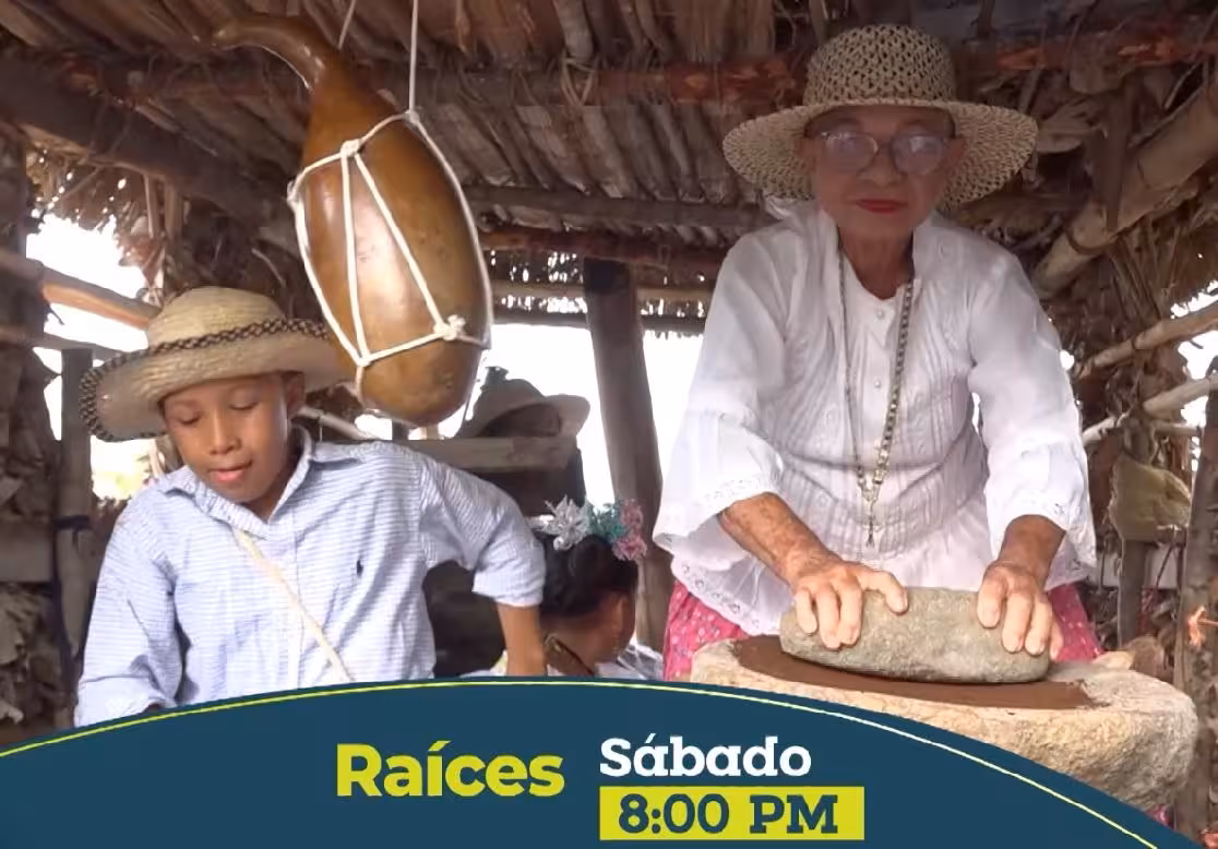 RAICES 19