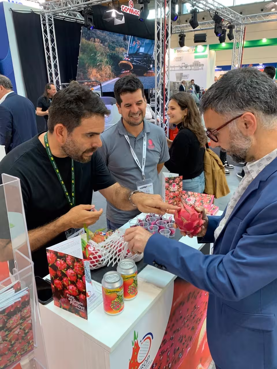 degustación pitahaya 1