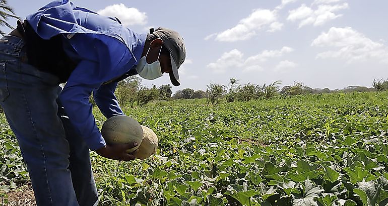 BDA será un instituto de fomento