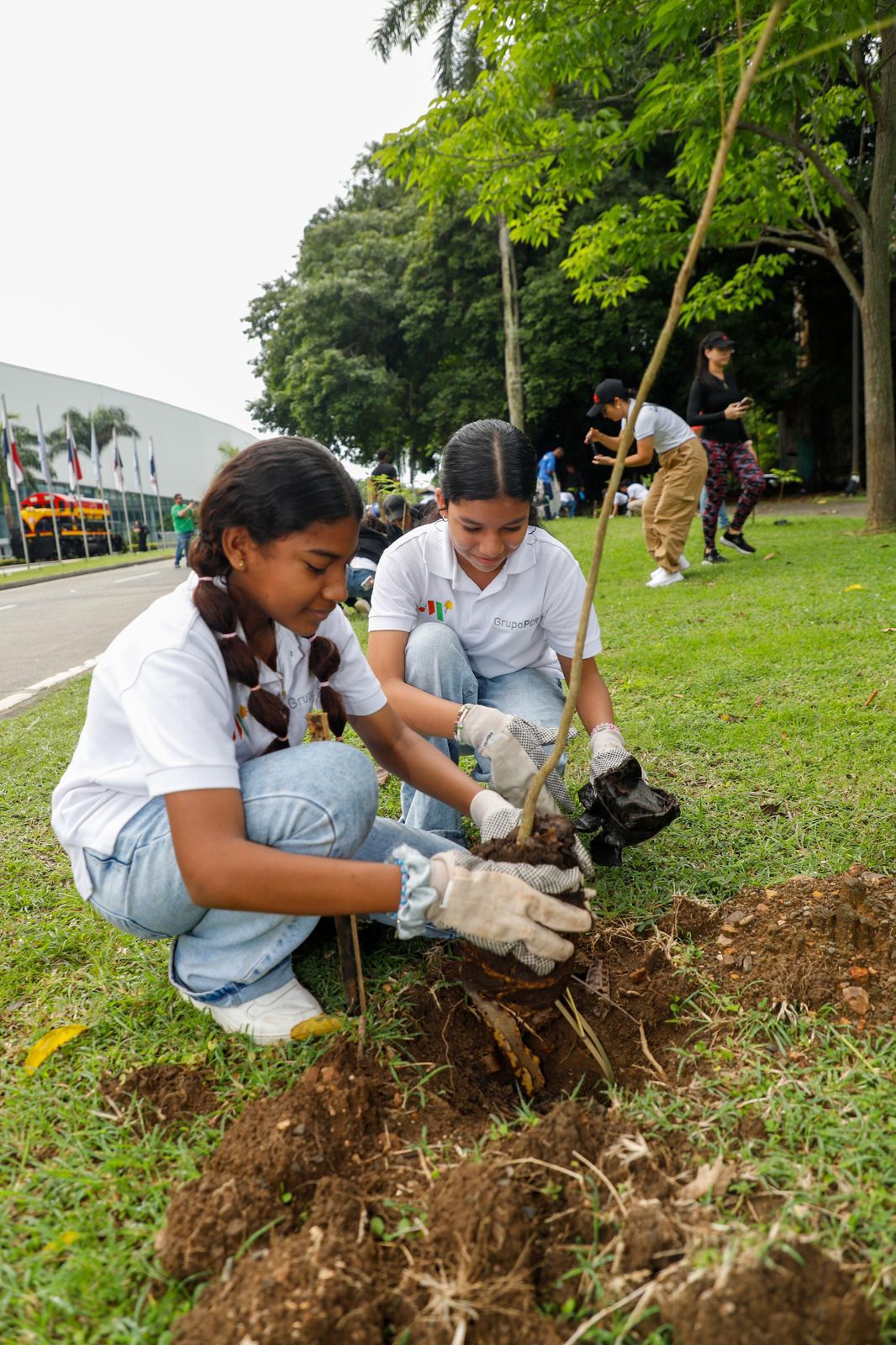Panamá impulsa reforestación en Amador con 500 árboles.
