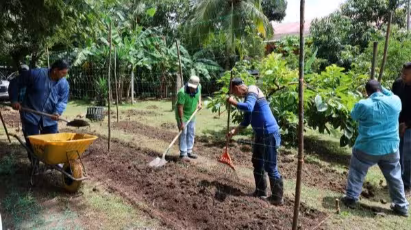 MIDA implementa huerto en Hogar Bolívar para adultos mayores.