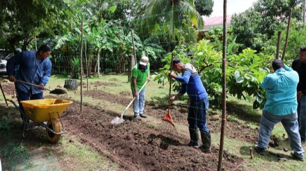 MIDA implementa huerto en Hogar Bolívar para adultos mayores.