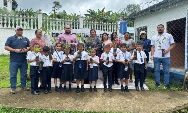 Distribuyen plantones en Coclé para recuperación de suelos.