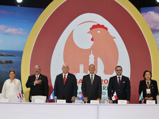 El ministro de Desarrollo Agropecuario, Roberto Linares, subrayó el respaldo del Gobierno para mantener a la avicultura como un sector competitivo, seguro y sostenible.