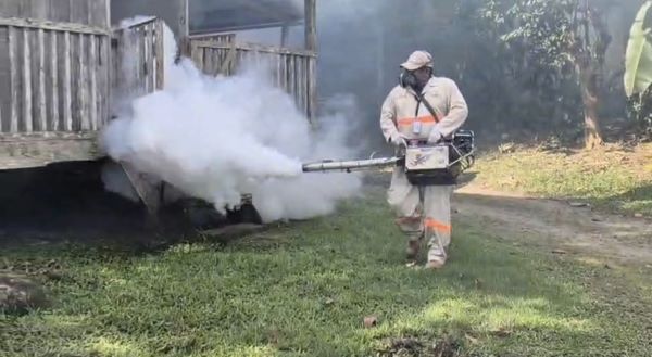 Autoridades siguen con la fumigación.