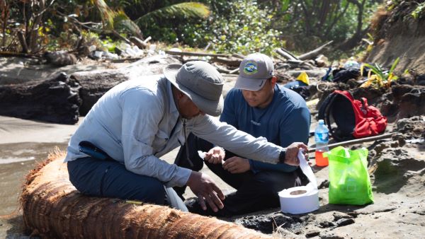 Momento del descubrimiento del pez de agua antiguo.