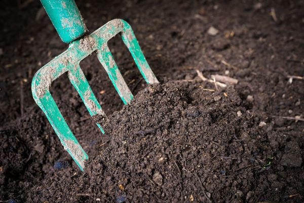 Abono orgánico ayuda a bajar costos de producción.