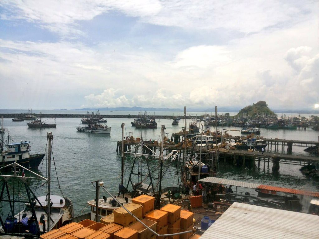 inicia segundo veda del camarón en Panamá